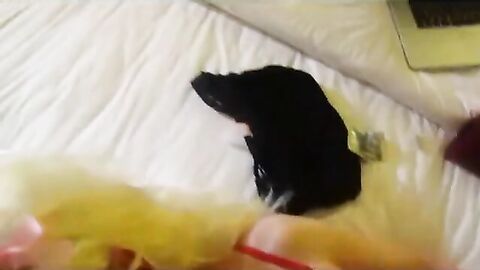 Mature Crossdresser Gets a Facial