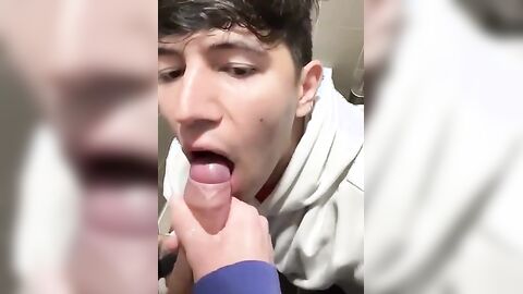 Gay Oral Cutie Public Toilet BJ & Cum Swallowing - Fresh HD Scene