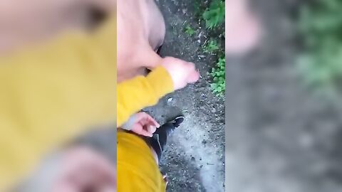 Gay Solo Hiking Handjob Duo - Fresh HD Scene