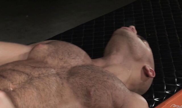 FalconStudios: Hairy bodybuilder goes in for ramming hard