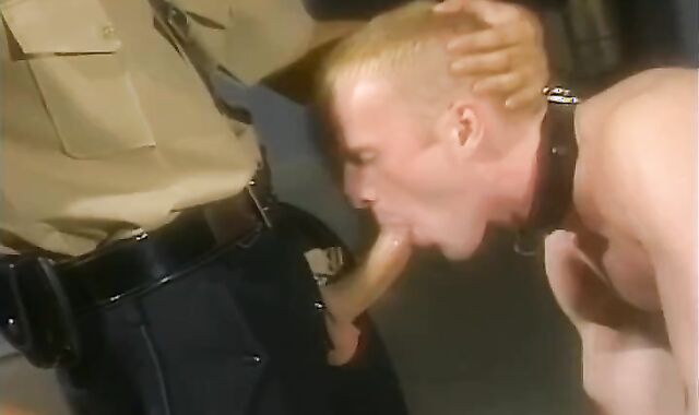 Top 10 90s Vintage Gay Porn Videos - FalconStudios