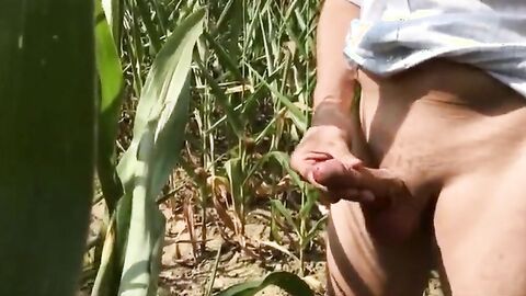 Summer, Sun, Corn & Wanking & Piss