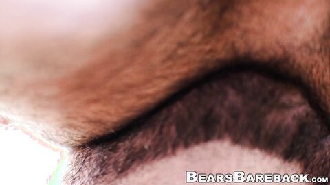 Muscular bear drilling handsome bottoms raw hole