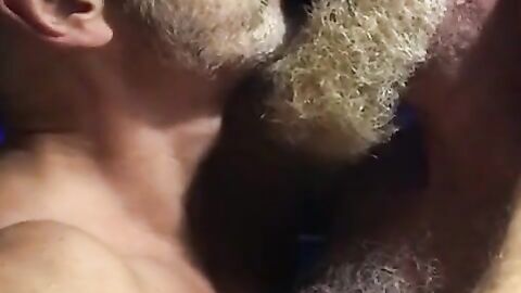 Hairy bears passionate kissing