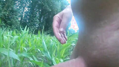 wanking in the cornfield and cumming in the woods