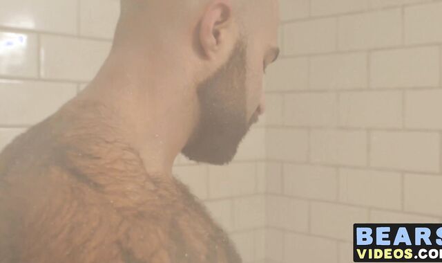 Bear washes his furry body and spanks his thick monkey