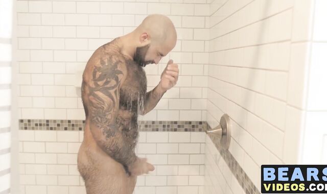 Bear washes his furry body and spanks his thick monkey