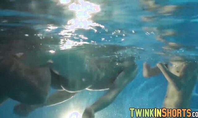 Three twinks sucking their cocks and barebacking in threeway