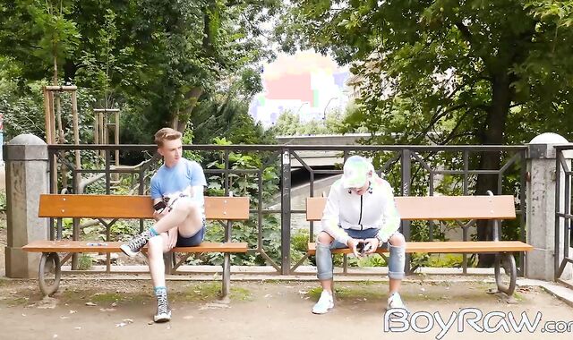 Park hangout turns into raw sex back home with young men