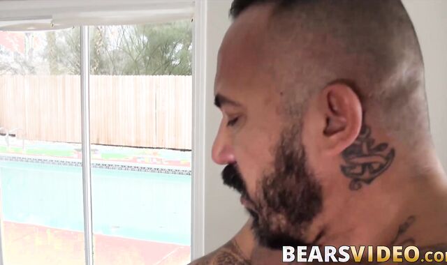 Big bear slamming his cubs tight hole the bareback way