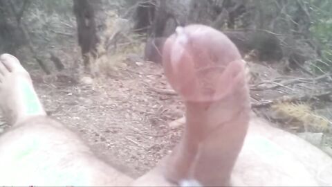 Cumshot in the woods (cum no hand+double cum)