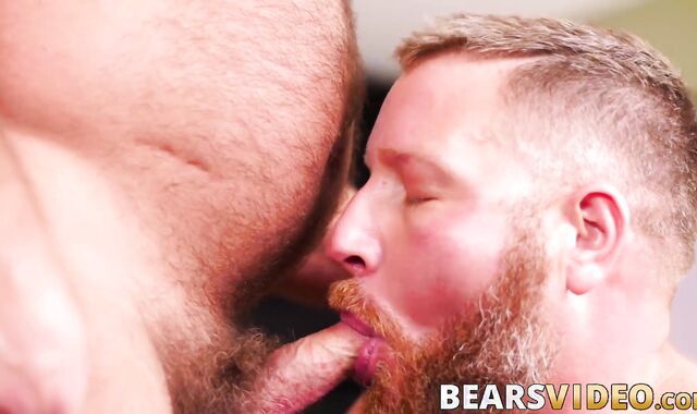 Chubby bear bent over and penetrated deep by his hung lover