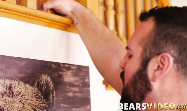 Amazingly intense barebacking for adorable hairy bear cutie