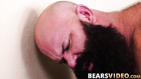 Bear enjoys pounding from equally hung masculine bear stud