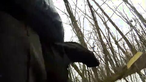 outdoor cock sucking