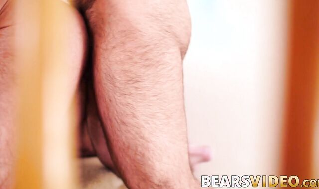 Mature gay bouncing on bear daddies cock after sucking it
