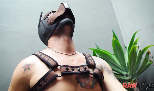 Rawhole: Pup perceives in need of supreme tearing up