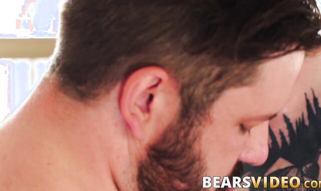 Bear daddies enjoy rimming before bareback ass slamming