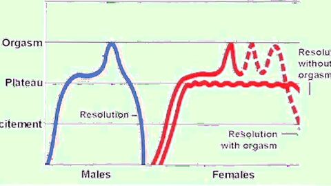 The Ultimate Guide To Multiple Orgasms In males