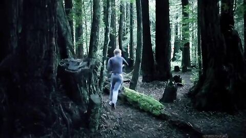 Vampire Hunting In The Woods