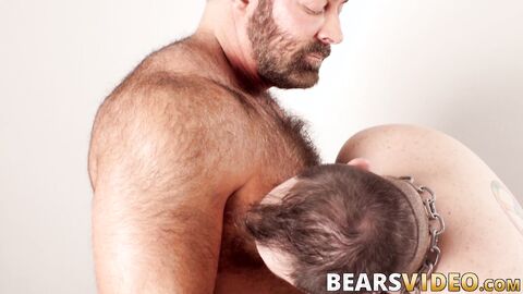 Big bear Brad Kalvo drills Dean Gauge bare after blowjobs