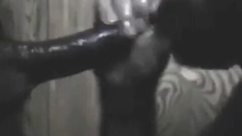 BBC Getting Sucked Through Glory hole & Swallows Cum