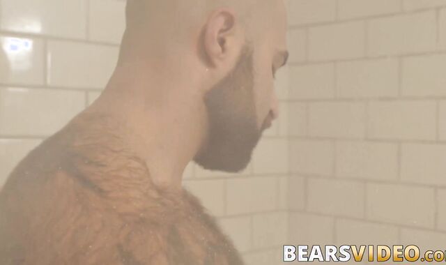 Atlas Grant shows off that bear body and tugs on his dick