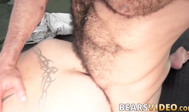 Hairy Amir Badri hammered by pierced cock bear Marc Angelo
