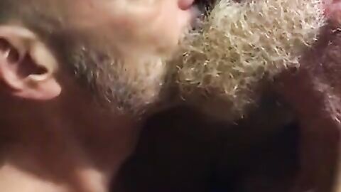 Hairy bears passionate kissing