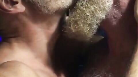 Hairy bears passionate kissing