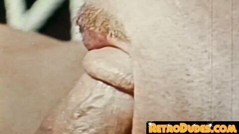 retro gay porn horny muscle men big cock sucking sixtynine