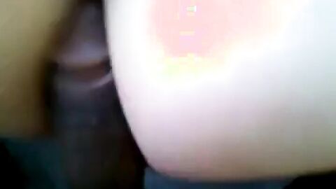 Big Black Cock Breeds Twink Amateur