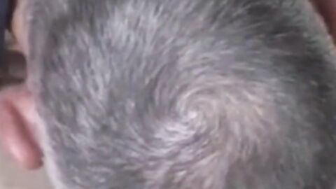 Twink's Shaved Hole Tongued by Amateur