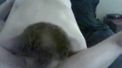 Hairy Bear Grandpa Gets a Blowjob from a Younger Man