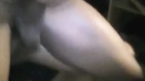 Amateur Black Bareback Creamy Fuck