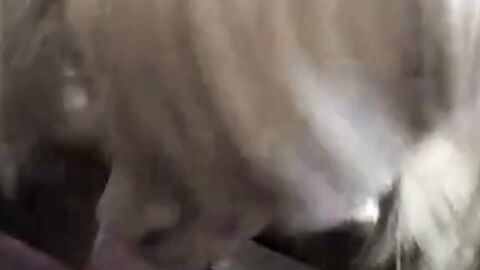 Sissy Dirty Talk and Big Cock Blowjob