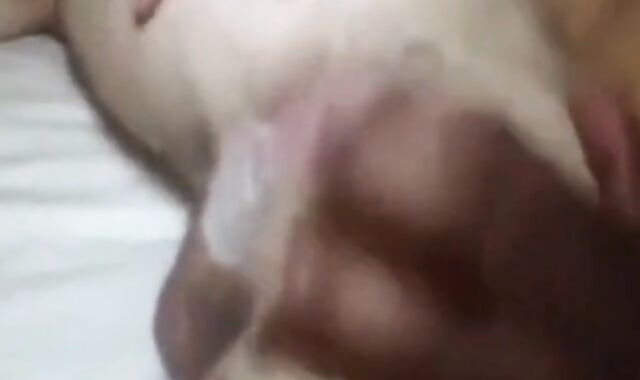 Big Black Cock Barebacks a Tight White Hole