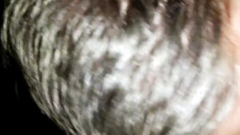 Harley's Blowjob Adventure with Daddy