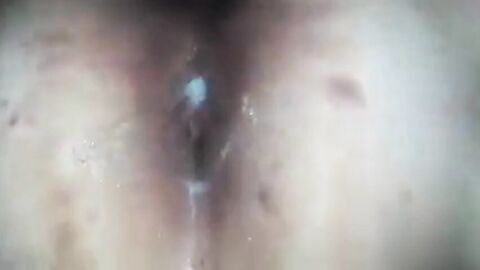 Bareback Breeding of a Bottom Bear CD by a Top Bear