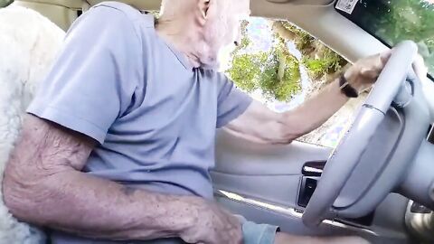 Grandpa Sucks Outdoors in His Car