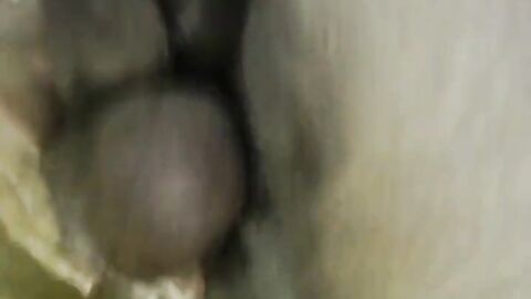 Big-Cock Breeds Cop Bareback