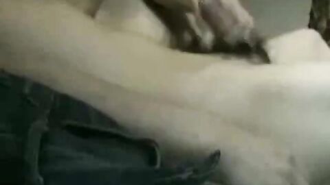 Amateur Asian Twinks Sucking Till Cum