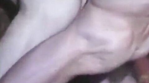 Deep Bareback Fuck with Two Older Men
