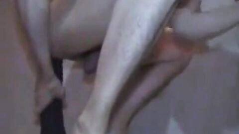 Deep Anal Penetration with Sex Toys