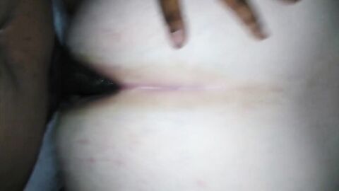 Fat Bear Takes Bareback BBC