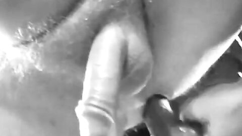 Twink's Toy Adventure