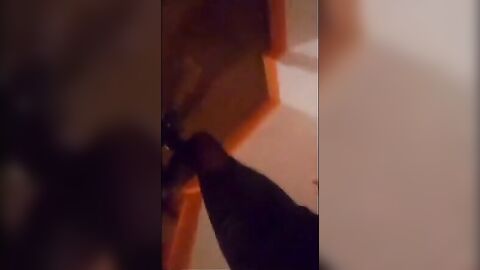 Sissy Slave's Horny Saturday