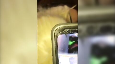 Sissy's First BBC Blowjob Experience