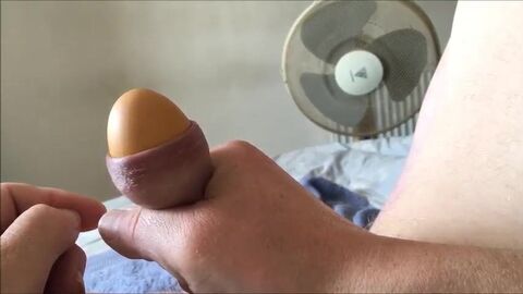 Nut And Foreskin - four Of six - Egg #two