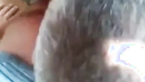 Mature Gay Bear Blowjob in the Woods